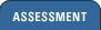 Assessment