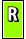 Fluency Passages - Level R