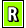 Fluency Assessment Passages - Level R