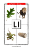 Letter L