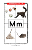 Letter M
