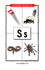Letter S