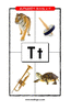 Letter T