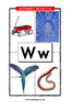 Letter W