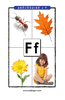 Lettre F