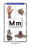 Lettre M