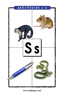 Lettre S