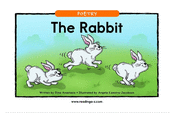Rabbit, The