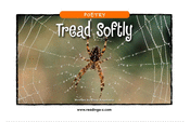 Tread Softly